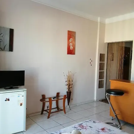 Bratianu Studio *