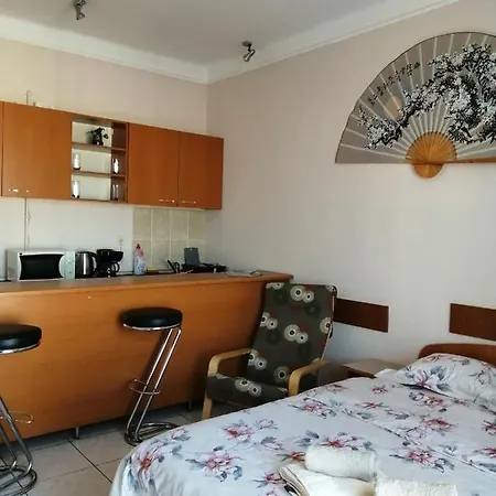 Apartamento Bratianu Studio *